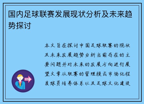 国内足球联赛发展现状分析及未来趋势探讨