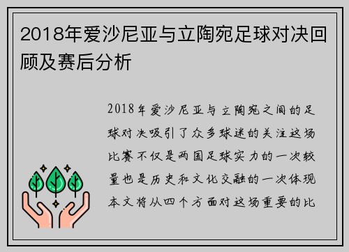 2018年爱沙尼亚与立陶宛足球对决回顾及赛后分析